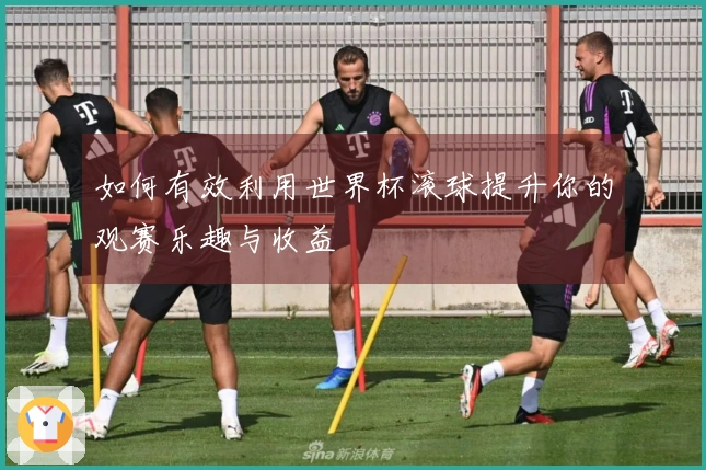 如何有效利用世界杯滚球提升你的观赛乐趣与收益