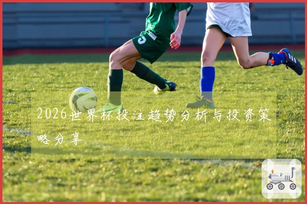 2026世界杯投注趋势分析与投资策略分享