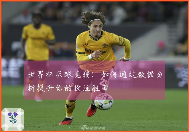 世界杯买球竞猜：如何通过数据分析提升你的投注胜率