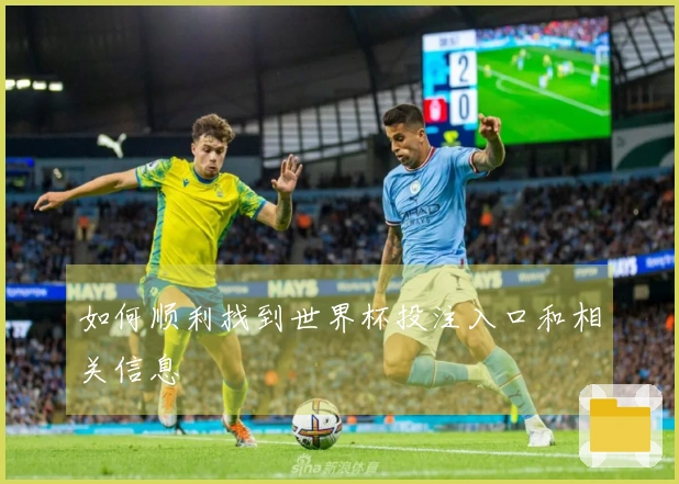 如何顺利找到世界杯投注入口和相关信息