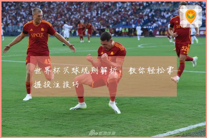 世界杯买球规则解析，教你轻松掌握投注技巧