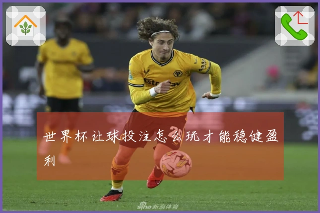 世界杯让球投注怎么玩才能稳健盈利